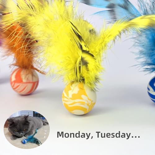 Feather Chase & Fetch Balls for Indoor Cats – 5 Pack Durable Rubber Cat Toys with Natural Feathers, Interactive Exercise & Hunting Play, Bouncy Balls for Active Kittens and Adult Cats - Image 5
