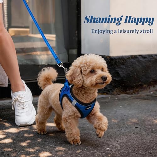 No Pull Dog Puppy Harness and Leash Set Reflective Mesh Vest XX-Small - Image 6