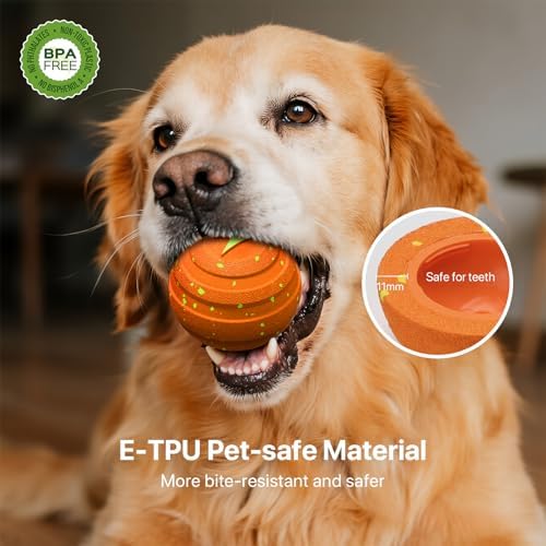 Interactive Dog Toys Automatic Bouncing Dog Ball for Small & Large Dogs - Image 4