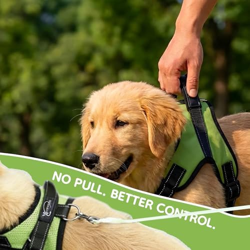No Pull Reflective Adjustable Dog Harness with Handle- Comfortable Soft All Weather Mesh, Easy On Puppy Harness for Small Medium and Large Dogs (Green) Large - Image 6