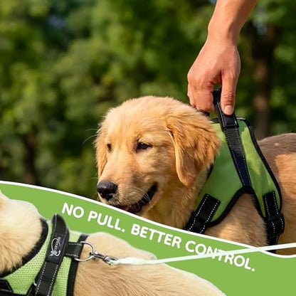 No Pull Reflective Adjustable Dog Harness with Handle- Comfortable Soft All Weather Mesh, Easy On Puppy Harness for Small Medium and Large Dogs (Green) Large - Image 6