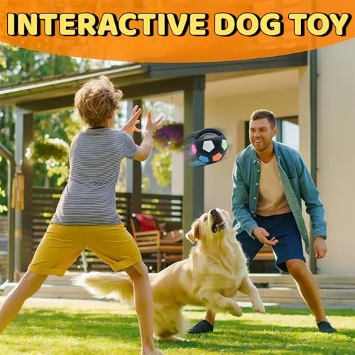 Tough Durable Ball Toy for Medium Large Dog - Image 2