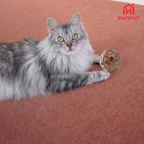 Squeaky Mouse Ball Cat Toy with Simulated Sound, Mouse Inside Cage, Squeky Balls for Cats to Play with Indoor, Squeak Interactive Plastic Funny Toys Best for Chewing Training Playing Chasing (Beige) - Image 5