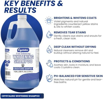 (1 Gallon) Dog Whitening Shampoo for White Dogs, Purple Dog Shampoo Whitening for Dogs White Coat, Blueberry Facial, para Perros Blancos - Image 4
