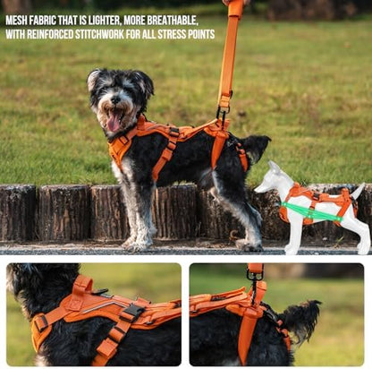 OneTigris Lift Harness for Small Dogs XS, Sling Carrier to Help Lift and Walk, Outdoor Full Body Support with Reflective Straps for Back Legs - Image 3