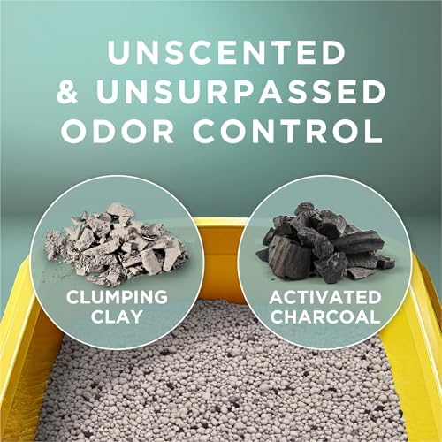Purina Tidy Cats Free and Clean Unscented Clumping Cat Litter, 16 lb Bag - Image 5