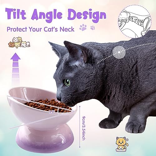 Hushee 4 Pcs Ceramic Raised Cat Food Bowls Elevated Tilted Dish Anti Vomiting Food or Water Bowls Pet Supplies - Image 3