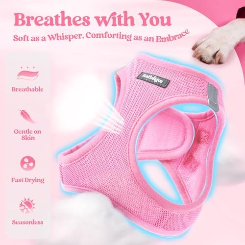 rabbitgoo Dog Harness Medium Sized and Leash Set, Step-in Puppy Pet Vest - Image 3