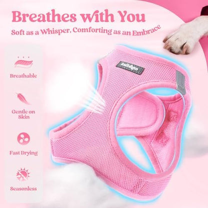 rabbitgoo Dog Harness Medium Sized and Leash Set, Step-in Puppy Pet Vest - Image 3