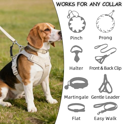 YUEPET 2 Pack Dog Collar Safety Clips, Adjustable Prong Collar Backup Clips - Image 4