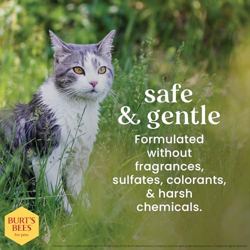 BURT'S BEES FOR PETS Cat Dander Reducing Spray, Oat & Honey, 10 Fl Oz - Image 4