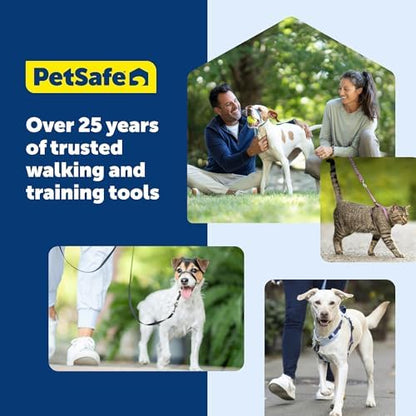 PetSafe Nylon Dog Leash - Strong, Durable, Traditional Style Leash with Easy to Use Bolt Snap - 3/4 in. x 4 ft., Black - Image 7