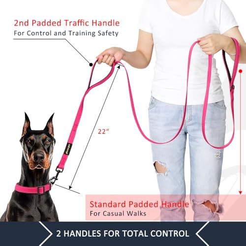 Plutus Pet Double Handle Dog Leash, 6 FT Long, for Medium Large Dogs - Image 2