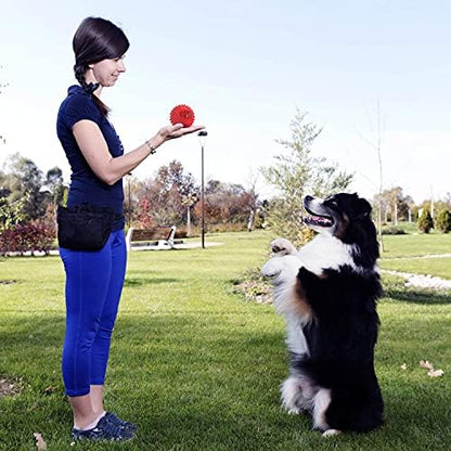 petizer Indestructible 4inch Squeaky Red Dog Balls for Aggressive Chewers, Relieve Anxiety, Interactive Dog Toy, Floatable Rubber Ball for Large Dogs, Indoor, Outdoor, Waterproof - Image 6