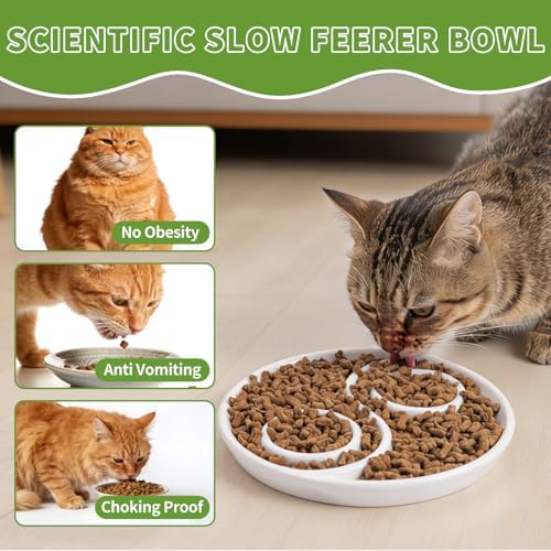 Ceramic Cat Slow Feeder,Shallow and Wide Opening Dish for Whisker Friendly - Image 3
