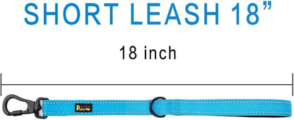 PLUTUS PET Short Training Dog Leash with Padded Handle for Medium Large Big Dogs,18 Inch Heavy Duty Strong Traffic Leash with Carabiner Clip for Climbing Walking or Guiding Blind（18”，Blue