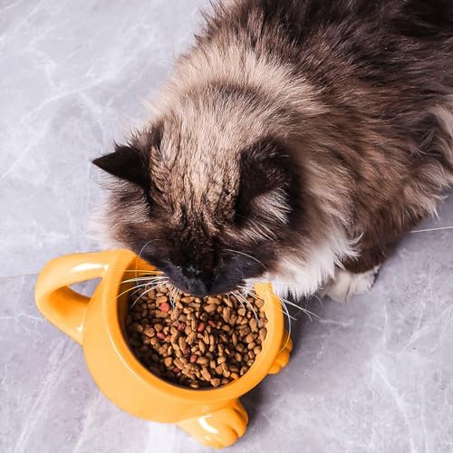 Raised Cat Bowls with Handle Tilted Cat Dish Ceramic Pet Food Water Bowl for Indoor Outdoor Kitten Small Dogs Puppy Light Orange - Image 4