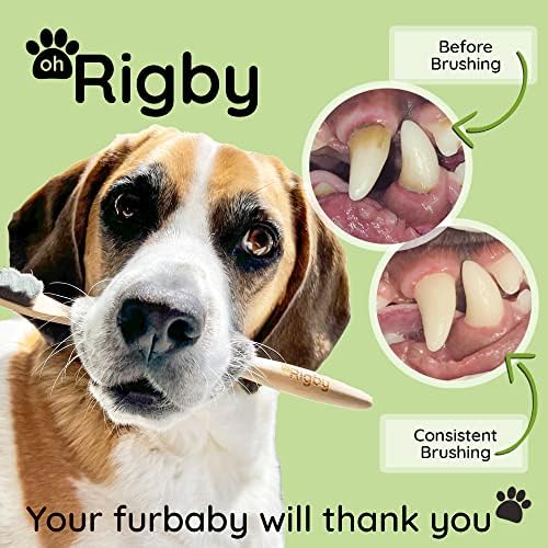 Dog Toothbrush- 10,000 Ultra-Soft Bristles for Sensitive Pet Teeth & Gums- Natural Bamboo Toothbrush for Comfortable, Gentle Deep Cleaning - Image 3
