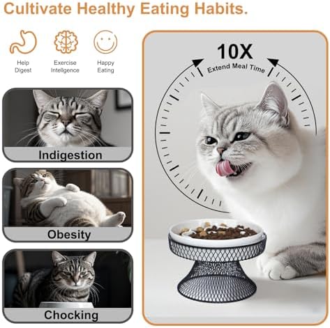 Raised Ceramic Cat Slow Feeder Bowl, Elevated Cat Plate with Stand, Slow Bowl for Wet and Dry Food, Whisker Friendly Pet Feeder for Kitten and Small Dog Perfect for Pet Gift - Image 2