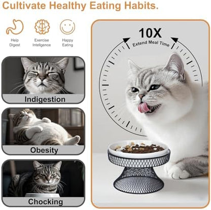 Raised Ceramic Cat Slow Feeder Bowl, Elevated Cat Plate with Stand, Slow Bowl for Wet and Dry Food, Whisker Friendly Pet Feeder for Kitten and Small Dog Perfect for Pet Gift - Image 2