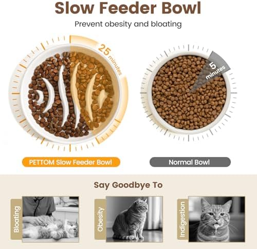 PETTOM Slow Feeder Cat Bowl Elevated Ceramic with Bamboo Stand, Raised Pet Puzzle Dishes for Indoor Cats Small Dog, Anti Vomit Cat Bowl for Wet & Dry Food - Image 2