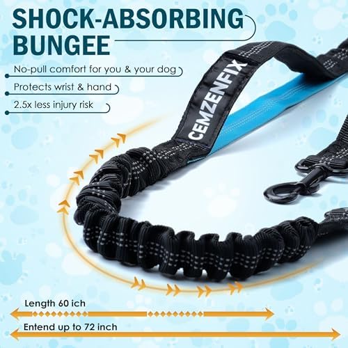 Hands Free Dog Leash for 2 Dogs, Waist Leash with Dual Bungee - Image 2
