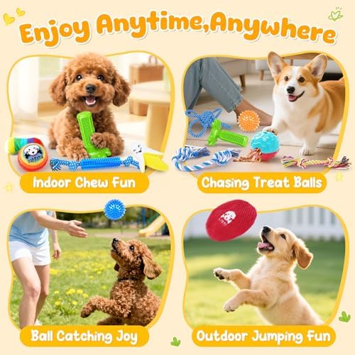 KIPRITII 25 Pack Dog Toys Set – Ideal for Teething, Entertainment & Interactive Play, Includes Puppy Toys, Rope Toys, Treat Balls and Squeaky Dog Toys - Image 3