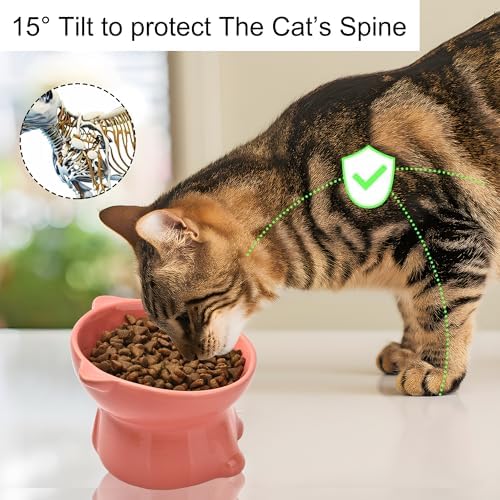 Ceramic Raised Cat Bowls ,Tilted Elevated Cat Food Bowl for Indoor,Anti Vomiting & Protect Pet's Spine ,Pet Feeder Dish for Flat Faced Cats and Kitten (Pink) - Image 3