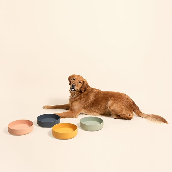 Should We Go? Dog Water Bowl - The Perfect Dish No-Spill, Less Mess Non-Tippable Water & Food Bowl, Pure Silicone with Suction Cup, Fits 8 Cups 9.5" Across x 2.5" Tall, Ideal for All Pets, Large-Blush