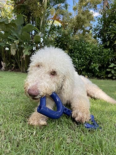 SuperChewer Tough Tug Pull Toy | Lifetime Replacement | Strong Natural Rubber | Interactive Tug-of-War Toy for Dogs | Ultra Durable Chew Toys for Aggressive Chewers | For Medium & Large Breeds - Image 7
