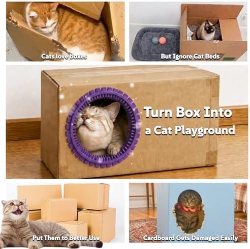 Cat Self Groomer Arch for Cardboard Boxes (Lavender | Start Kit) - Image 6