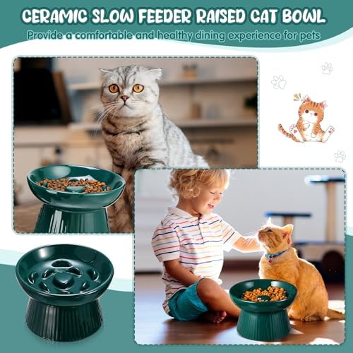 Tioncy 1 Pcs Ceramic Elevated Slow Feeder Cat Bowl, Dark Green - Image 6