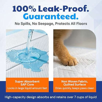 AKC Dog Training Pads, Unscented, XL 28" x 30", 50 Count - Image 7