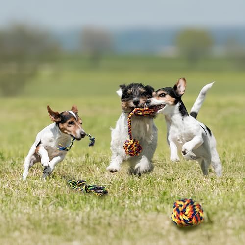 Puppy Teething Toys for Small Dogs, 5 Pack Cotton Puppy Dog Rope Toy - Image 6