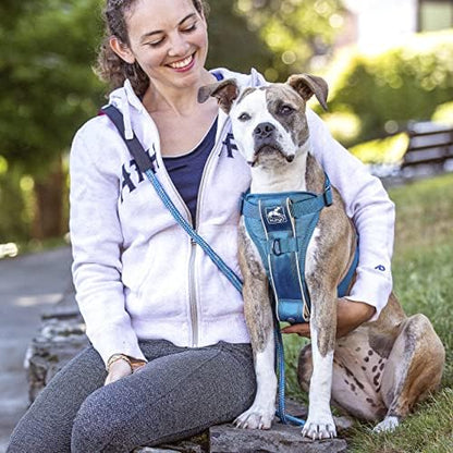 Kurgo Tru-Fit Smart Harness, Blue, Extra Small - Image 4