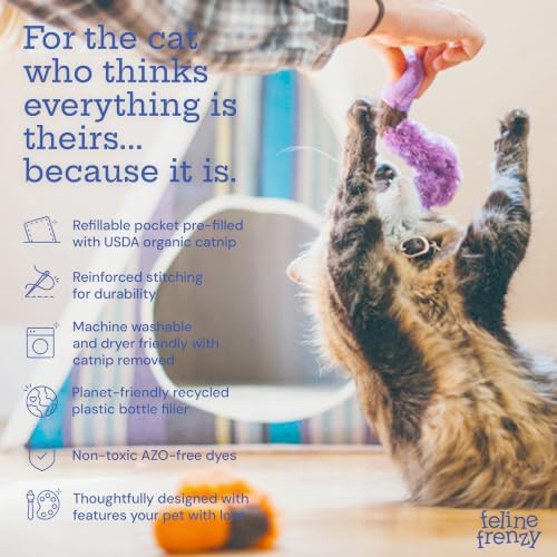 P.L.A.Y. PET Lifestyle and You Feline Frenzy Wiggly Worms Plush Squeaky CAT Toy - Image 4