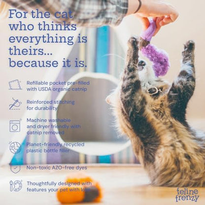 P.L.A.Y. PET Lifestyle and You Feline Frenzy Wiggly Worms Plush Squeaky CAT Toy - Image 4