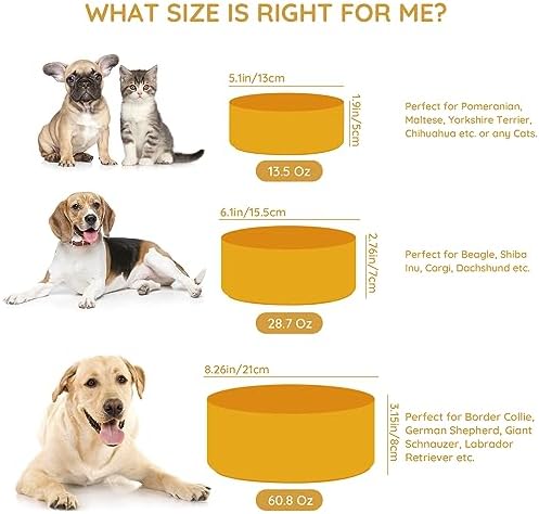 SPUNKYJUNKY 13.5OZ Ceramic Dog and Cat Bowl, Modern Cute Weighted Food Water Bowl for Replacement Yellow (1 Pack) - Image 3
