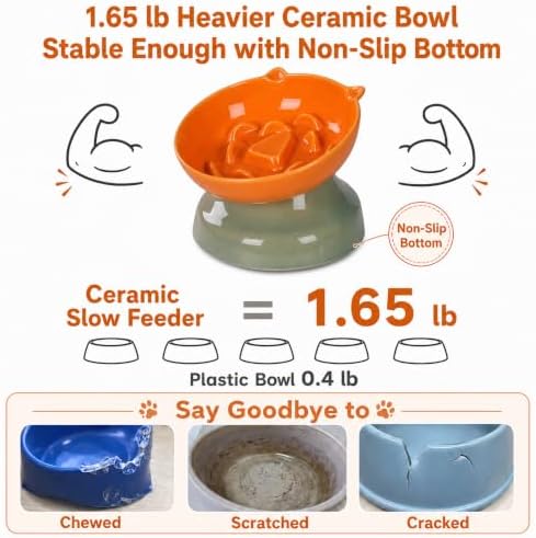 Ceramic Slow Feeder Cat Bowl, 15-Degree Tilted Non-Slip - Image 4