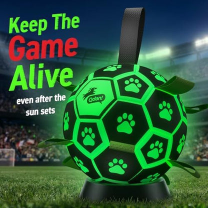 QDAN Glow in The Dark Dog Toys, Dog Soccer Ball with Straps, Night Play Fun - Image 4