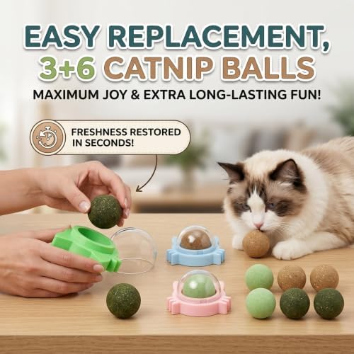 Cat Wall Toy 9pcs Refill Ball Catnip Silvervine Gall Fruit Lickable - Image 5