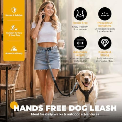 PETCARE 4 in 1 Hands Free Dog Leash with Car Seatbelt Buckle, Shock Absorbing Bungee Dog Waist Leash Belt for Running Walking Hiking, Dual Handles & Reflective, Adjustable for Small Medium Large Dogs - Image 2