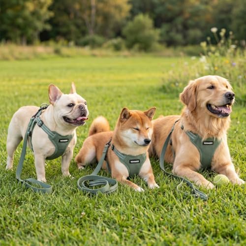 Best Pet Supplies Voyager Adjustable Step-in Flex Breathable Mesh Dog Harness for Small Medium Large Dogs Leash Set (Moss Green), XS - Image 6