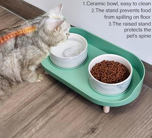 Raised Ceramic Cat Bowls with Stand, Weighted No Tip Over Spill Proof - Image 2