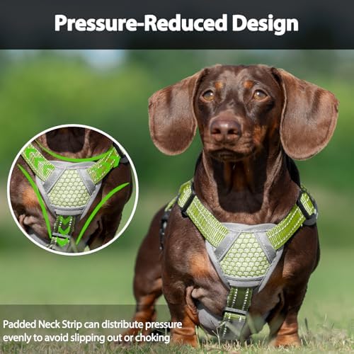Huntboo Escape Proof Dog Harness, Dachshund Harness, Reflective Dog Harness with Handle, Durable,Adjustable Vest for Small Medium Large Dogs Walking, Training, and Running Gear (Green,L) - Image 5