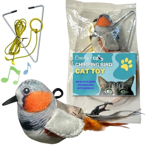 Hanging Bird Cat Toy for Indoor Cats, Motion Activated Chirping with Catnip by CarolinesCats