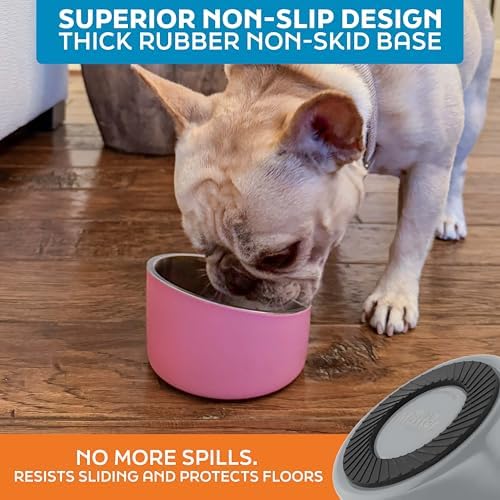 Master Pet Supply Stainless Steel Slanted Dog Cat Food Bowl 8 oz Graphite - Image 5