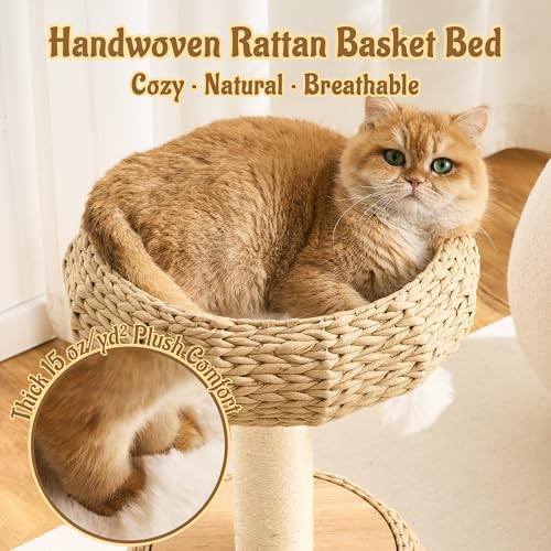 Modern Cat Tree for Indoor Small & Medium Cats, 30" H Solid Wood & Rattan Cat Tower with Handwoven Wicker Cat Bed & Cave, Ultra-Soft & Washable Cushions, Natural Sisal Scratching Posts - Image 5