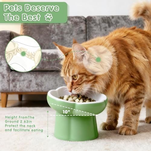Cat Slow Feeder Bowl Set,1 Pcs Pastel Series Cat Plate for Dry and Wet Food - Image 6