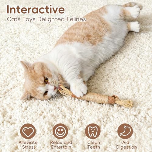 5 Pack Silvervine Sticks Cat Toys, Natural Chew Kitten Teething Toys for Cleaning, Matatabi Catnip Treat Toys, Catmint Silver Vine Sticks for Bored Indoor Kitty - Image 3